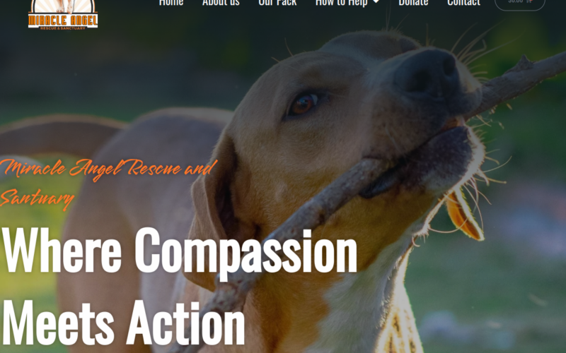 Miami Animal Rescue